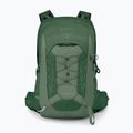 Wander Rucksack Herren Osprey Talon 11 l green canopy/ pine leaf