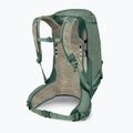Herren-Trekkingrucksack Osprey Stratos 34 l pine leaf 4