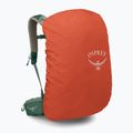 Wanderrucksack Herren Osprey Stratos 34 l pine leaf 5