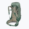 Wanderrucksack Herren Osprey Stratos 44 l pine leaf 4