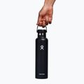 Hydro Flask Standard Flex Cap Thermoflasche 709 ml schwarz 5