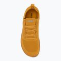 Herren Barfußschuhe Xero Shoes Nexus Knit gold 5