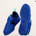 adidas Powerlift 5 Gewichtheberschuhe blau GY8922 11