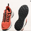 Jack Wolfskin Herren Wanderschuhe Dromoventure Athletic Low rot 4057011_2188_075 12