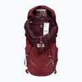 Damen-Trekking-Rucksack Lowe Alpine AirZone Trek ND43:50 43 + 7 l Himbeere 4