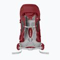 Damen-Trekking-Rucksack Lowe Alpine AirZone Trek ND43:50 43 + 7 l Himbeere 6