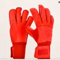 Torwarthandschuhe RG Snaga Rosso rot SNAGAROSSO7 6