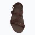 Herren Barfußsandalen Xero Schuhe Z-Trek braun 5