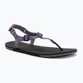 Damen Barfußsandalen Xero Schuhe H-Trail Salbei lila HTW-SGPU
