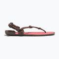 Damen Barfußsandalen Xero Shoes Aqua Cloud moel/sunet coral