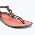 Damen Barfußsandalen Xero Shoes Aqua Cloud moel/sunet coral 7