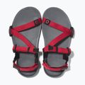 Barefoot Kinderschuhe Xero Z-Trail anthrazit/roter Pfeffer Sandalen 5