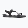 Herren Barfußsandalen Xero Schuhe Z-Trail EV stahlgrau/asphalt