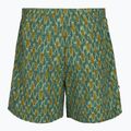 Trekkinghose Herren Herren Royal Robbins All-In algae flash pt 2