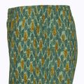 Trekkinghose Herren Herren Royal Robbins All-In algae flash pt 4