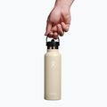 Hydro Flask Standard Flex Straw Thermoflasche 620 ml Hafer 3