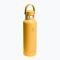 Thermosflasche Hydro Flask Standard Flex 620 ml sunbeam 2