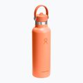 Thermosflasche Hydro Flask Standard Flex Straw 620 ml nectar 2