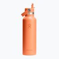 Thermosflasche Hydro Flask Standard Flex Straw 620 ml nectar