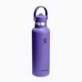 Thermoflasche Hydro Flask Standard Flex 621 ml utopia purple 2