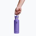 Thermoflasche Hydro Flask Standard Flex 621 ml utopia purple 3