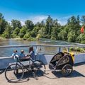 Burley Bee Doppelter Fahrradanhänger gelb BU-946206 11