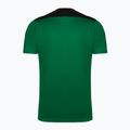 Joma Championship VI Herren Fußballtrikot grün/schwarz 101822.451 7