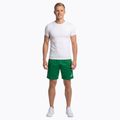 Herren Joma Record II Laufshorts grün