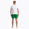 Herren Joma Record II Laufshorts grün 2