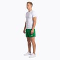 Herren Joma Record II Laufshorts grün 3