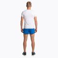 Joma Record II Herren Laufshorts royal 2