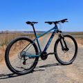 Marin Bolinas Ridge 2 29 Mountainbike blau A-1488G-G2-20 3