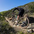 Marin Bobcat Trail 4 29 Mountainbike braun A-1468G-G2-17 3
