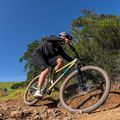Marin Bobcat Trail 4 29 Mountainbike braun A-1468G-G2-17 4