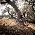 Marin Bobcat Trail 5 29 glänzend schwarz/orange/silbern Mountainbike 3