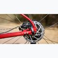 Mountainbike Marin Bobcat Trail 3 29 gloss charcoal/red/black 6