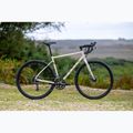 Gravelbike Marin Nicasio 1 700C bone grey 3