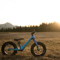 Orbea MX 12 Cross-Country-Bike dunkelblau 7