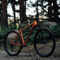 Orbea Onna 40 29 2023 Mountainbike rot N20819NA 2023 6