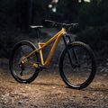 Orbea Mountainbike Laufey H30 2023 gold N24917LX 7