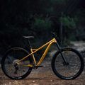 Orbea Mountainbike Laufey H30 2023 gold N24917LX 8