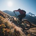 Orbea Rise M-LTD 42V 360Wh 2023 chameleon goblin grün/schwarz Elektrofahrrad 3