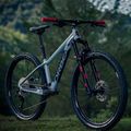 Orbea Kinderfahrrad Laufey 24 H20 grau N01624I9 2023 6