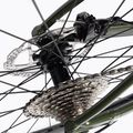 Orbea Avant H40-D Rennrad grün 10