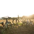 Kinderfahrrad Orbea MX20 Team gelb M00520I6 8