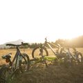 Orbea Kinderfahrrad MX 24 Park gelb M01024I6 16