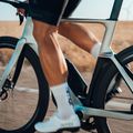 Orbea Orca Aero M20 LTD silber/grün Rennrad 5