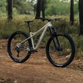 Orbea Laufey H10 Silber Mountainbike M24619LW 3