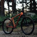 Orbea Onna 29 50 Mountainbike rot M20721NA 11