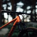 Orbea Onna 29 50 Mountainbike rot M20721NA 12